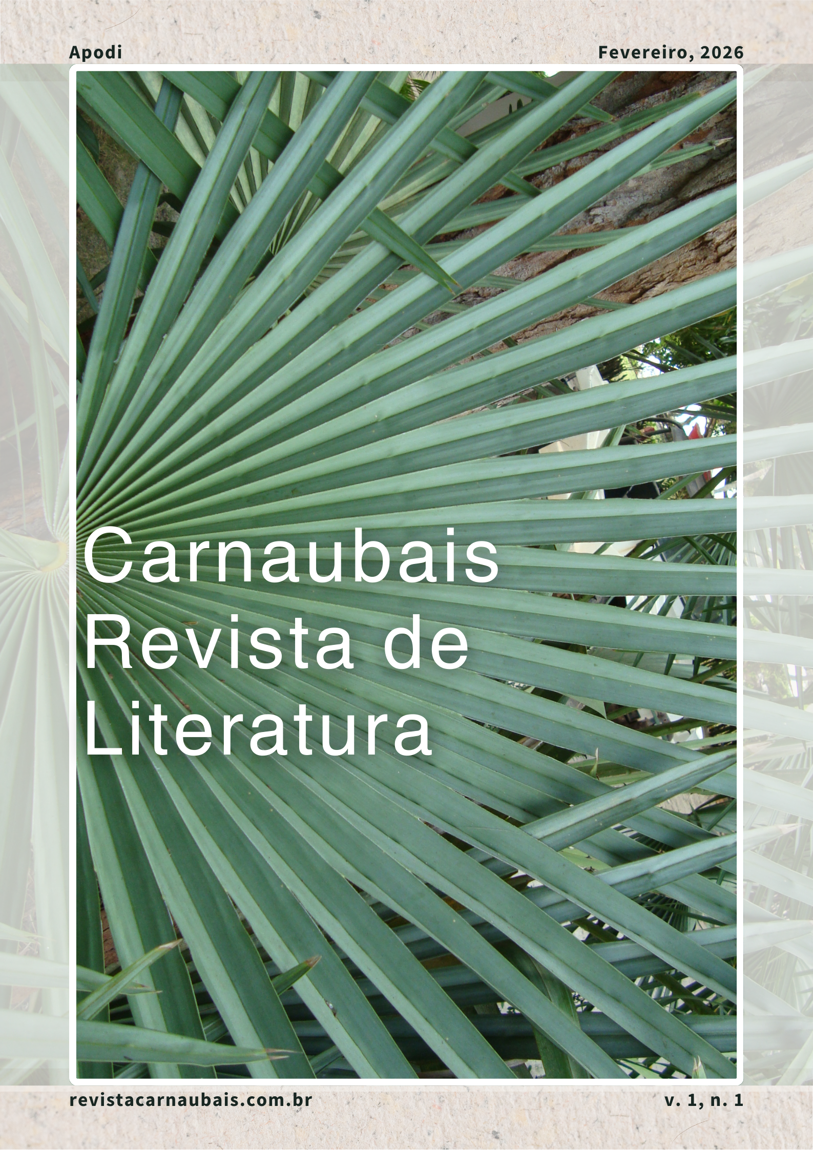 					Visualizar v. 1 n. 1: Carnaubais
				